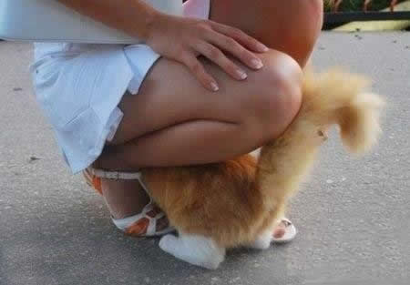 内涵搞笑福利图集欣赏