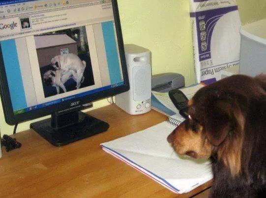 内涵搞笑福利图集欣赏