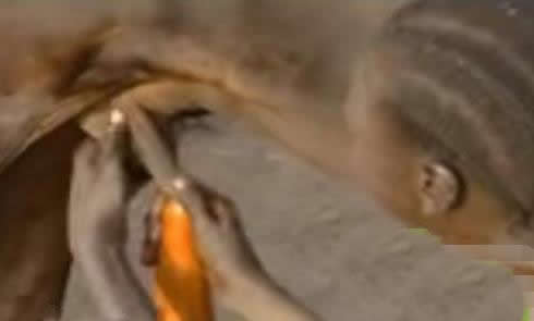 男子竟对牛屁股吹气:竟是为这!