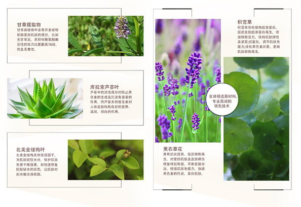 悦目佳人：绽放倾城之美，让女性拥有健康素颜美肌