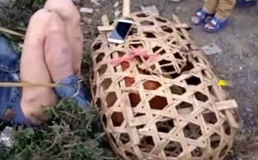 偷X男女被抓遭扒裤子绑电线杆示众：少儿不宜（图）