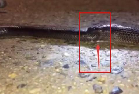 女子家中惊现诡异一幕吓坏众人(图) 女子家中惊现诡异一幕吓坏众人(图)