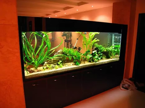 家里这物过大不招财反而漏财:你知道吗? 家里这物过大不招财反而漏财:你知道吗?