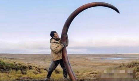 男子海边挖土 竟挖出巨额财富(组图) 男子海边挖土 竟挖出巨额财富(组图)