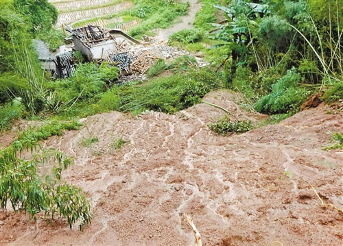 暴雨引发泥石流 村民家老黄牛被洪水冲走（图）