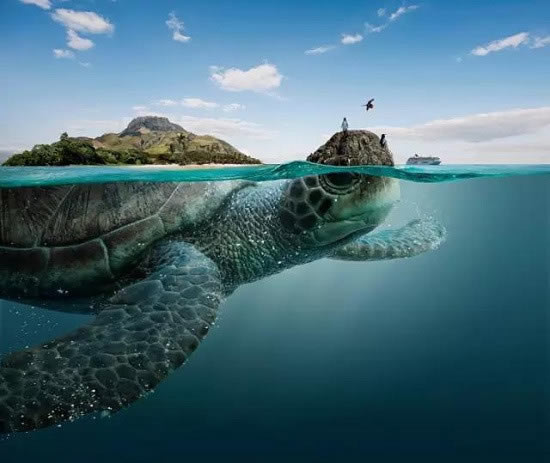 探究:海底还存在另一种人类? 探究:海底还存在另一种人类?