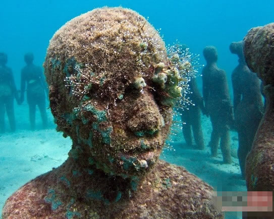 探究:海底还存在另一种人类? 探究:海底还存在另一种人类?