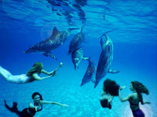 探究:海底还存在另一种人类? 探究:海底还存在另一种人类?