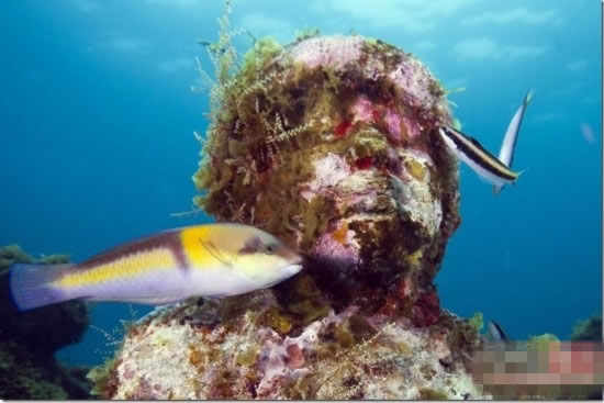 探究:海底还存在另一种人类? 探究:海底还存在另一种人类?