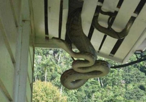 女子睡觉感觉背后一阵冰凉:睁眼后吓傻(图) 女子睡觉感觉背后一阵冰凉:睁眼后吓傻(图)