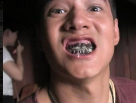 古代没有牙膏竟是吃它去口臭:清晰口气(图) 古代没有牙膏竟是吃它去口臭:清晰口气(图)