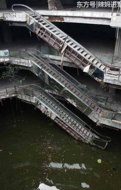 废弃大楼发现百万条鱼场面震惊（组图）