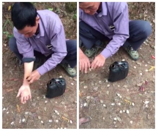 大叔被蛇咬伤后:竟这样自救（图）