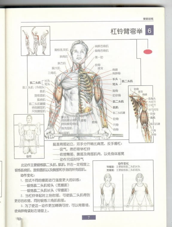 哑铃锻炼全身各部位肌肉方法图解（组图）