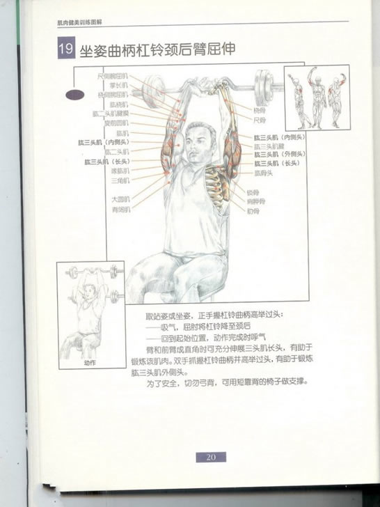 哑铃锻炼全身各部位肌肉方法图解（组图）