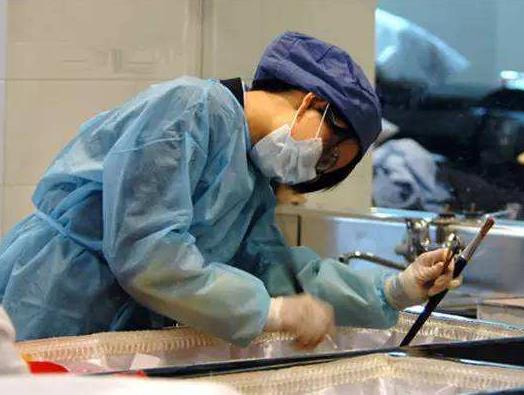 这工作月薪10万元:人们不敢干（图文）