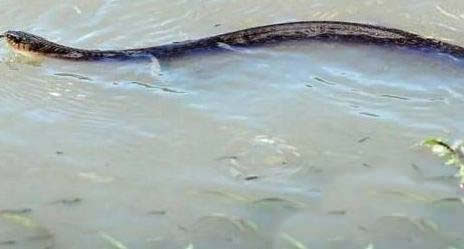 暴雨天碰到这个要赶紧逃命! 暴雨天碰到这个要赶紧逃命!
