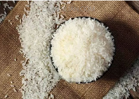 大米生虫子怎么办:教你4招驱虫方法 大米生虫子怎么办:教你4招驱虫方法