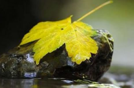 2017出伏后还能热多久：出伏后天气还潮湿吗？