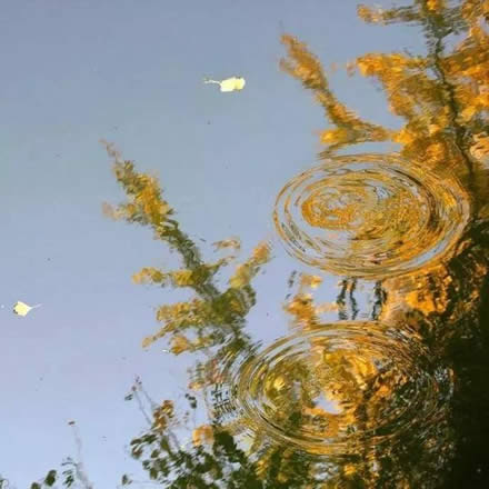 2017出伏后还能热多久：出伏后天气还潮湿吗？