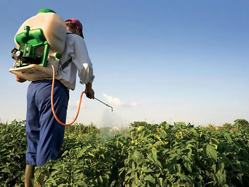 关于咖啡的10大必知事实：适量而止（全文）