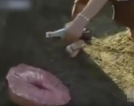 男子海边发现奇怪生物 下一幕吓呆众人（组图）