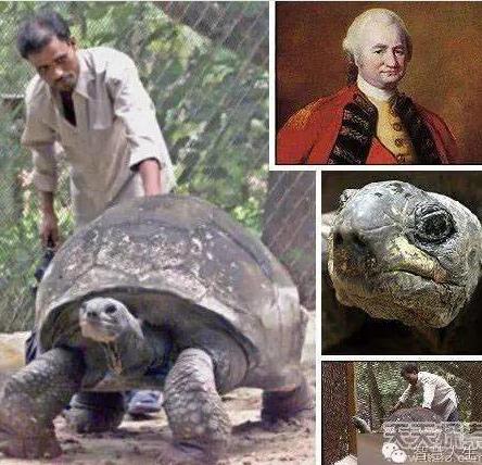 村民捕获120岁大蛇:场面骇人（组图）