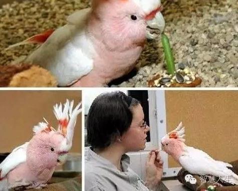 村民捕获120岁大蛇:场面骇人（组图）