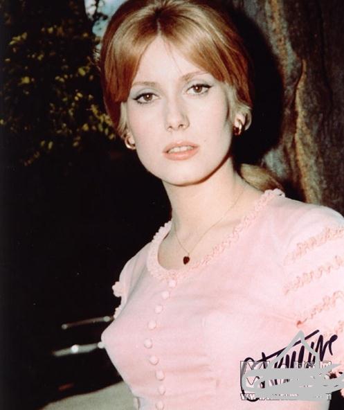 法国美女:国宝级绝色美女(法国美女篇) 法国美女:国宝级绝色美女(法国美女篇)