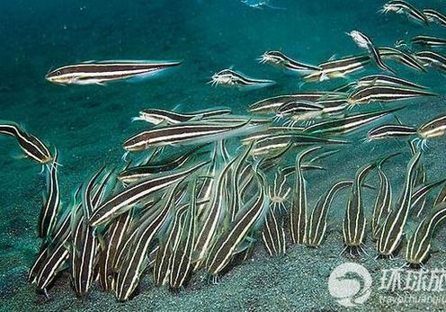 世界上最深在湖:收集世界上12个最深的湖泊 世界上最深在湖:收集世界上12个最深的湖泊