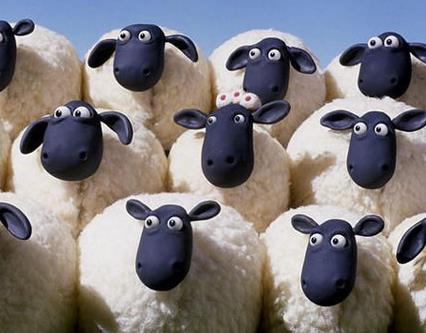 聪明动物排行榜：除人类之外最聪明的十种动物