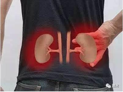 肾阳虚吃什么:肾阳虚吃什么食物最好(全文) 肾阳虚吃什么:肾阳虚吃什么食物最好(全文)