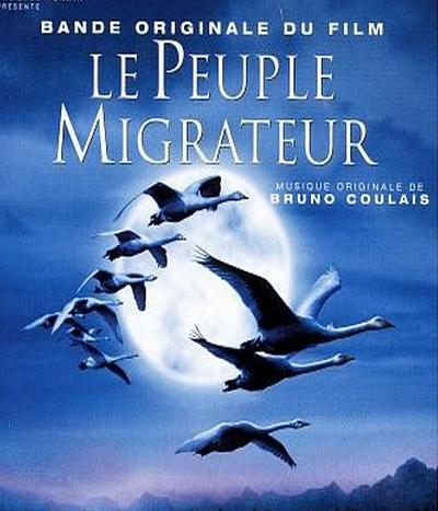 好看的纪录片：全球十大必看纪录片剧情介绍