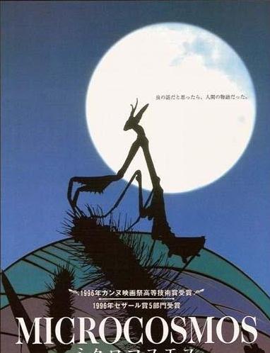 好看的纪录片：全球十大必看纪录片剧情介绍