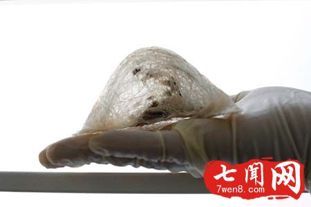 燕子口水这么值钱?曝生产过程（图）