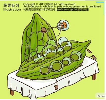 蔬菜先生和水果小姐的十个心事，孩子们眼中的世界