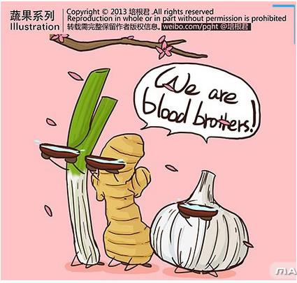 蔬菜先生和水果小姐的十个心事，孩子们眼中的世界