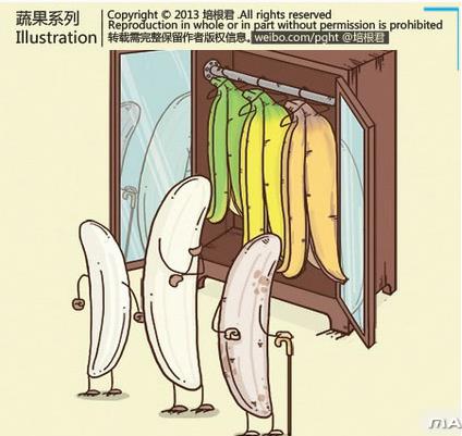 蔬菜先生和水果小姐的十个心事，孩子们眼中的世界