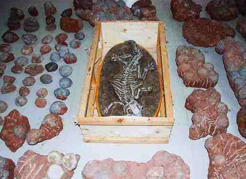 老人野外寻宝捡一堆石头真发了(组图) 老人野外寻宝捡一堆石头真发了(组图)