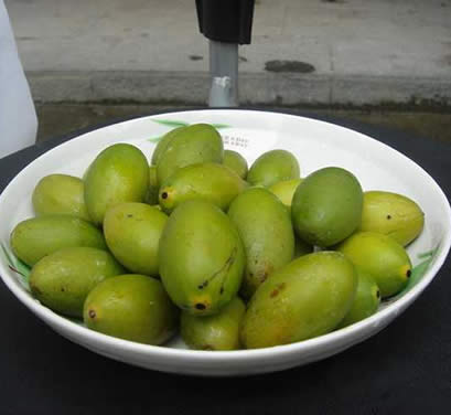 【青果怎么吃】青果的功效与作用及食用方法 【青果怎么吃】青果的功效与作用及食用方法