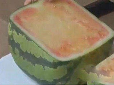 天价买回方形西瓜切开后惊呆了（图）