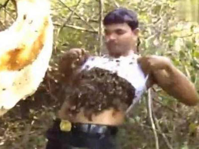 男子把几千蜜蜂装衣里结果……（图）