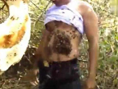 男子把几千蜜蜂装衣里结果……（图）