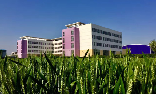 一心一益,因爱而美,安莉芳蓝丝带传递“她”能量 一心一益,因爱而美,安莉芳蓝丝带传递“她”能量