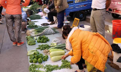 黑龙江的三伏天：市民裹棉袄羽绒（组图）