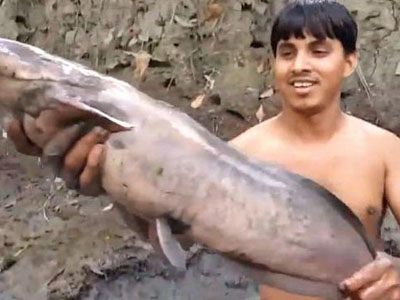 男子抽干河水翻开污泥发现惊喜（图）