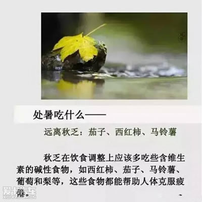 处暑吃什么：处暑节气应该吃的8种最佳食物