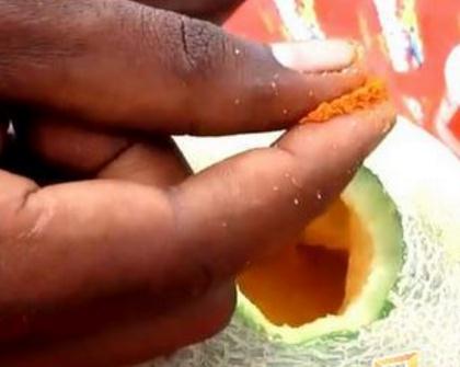 男子将鸡蛋打入哈密瓜中 下一幕让人崩溃（组图）