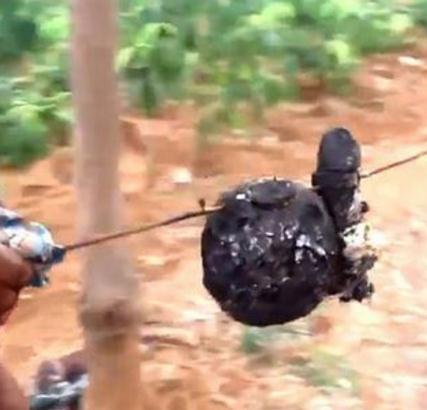 男子将鸡蛋打入哈密瓜中 下一幕让人崩溃（组图）