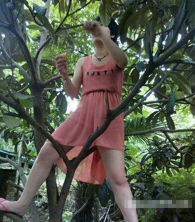 嫂子，穿裙子就别上树摘桃了，你让我在下面情何以堪